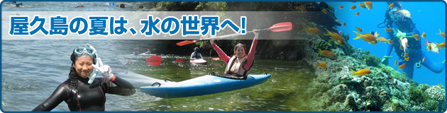 屋久島の夏は、水の世界へ！